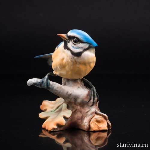 Синица-лазоревка, Tay, Италия, сер. 20 в