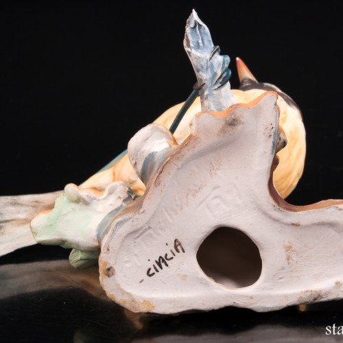 Синица-лазоревка, Tay, Италия, сер. 20 в