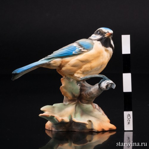 Синица-лазоревка, Tay, Италия, сер. 20 в