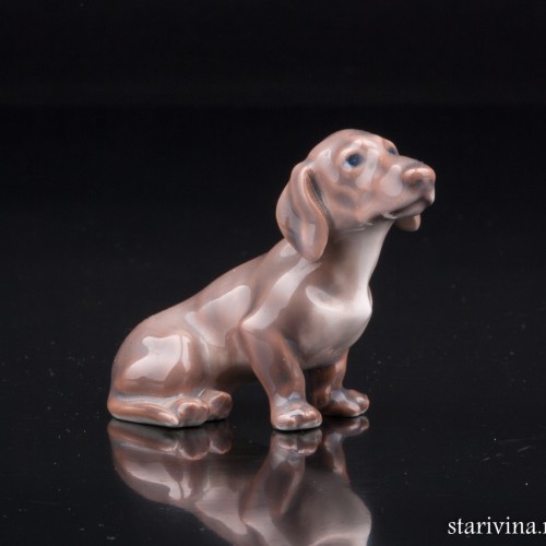 Такса, миниатюра, Dahl Jensen, Дания