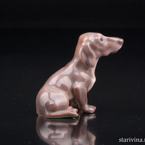 Такса, миниатюра, Dahl Jensen, Дания