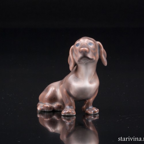 Такса, миниатюра, Dahl Jensen, Дания