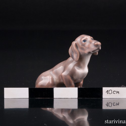 Такса, миниатюра, Dahl Jensen, Дания