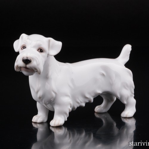 Силихем терьер, Augarten, Австрия