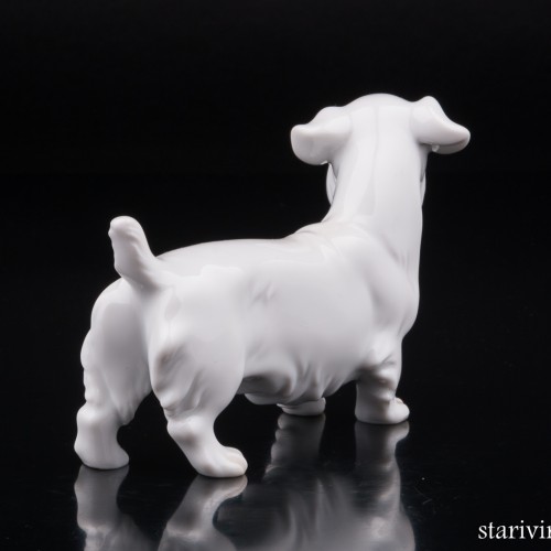 Силихем терьер, Augarten, Австрия