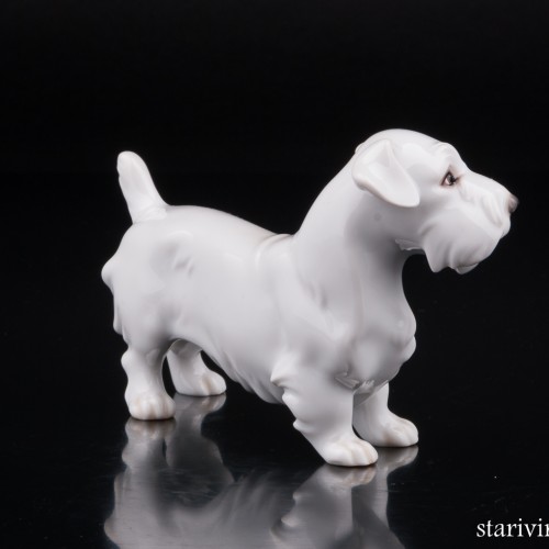 Силихем терьер, Augarten, Австрия