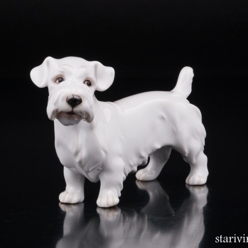 Силихем терьер, Augarten, Австрия