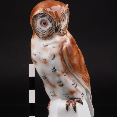 Сова, Carl Scheidig, Германия