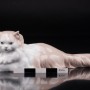 Ангорская кошка, Lladro, Испания