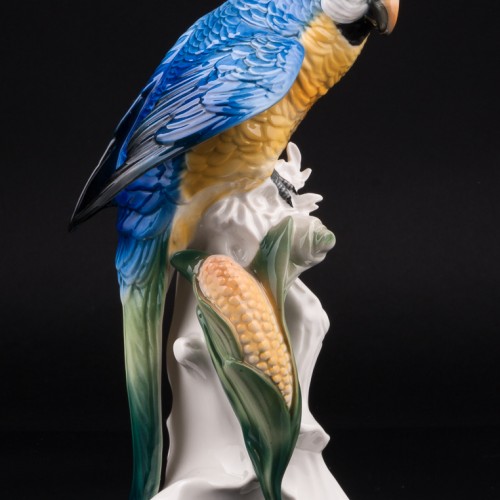 Попугай ара на кукурузе, Karl Ens, Германия