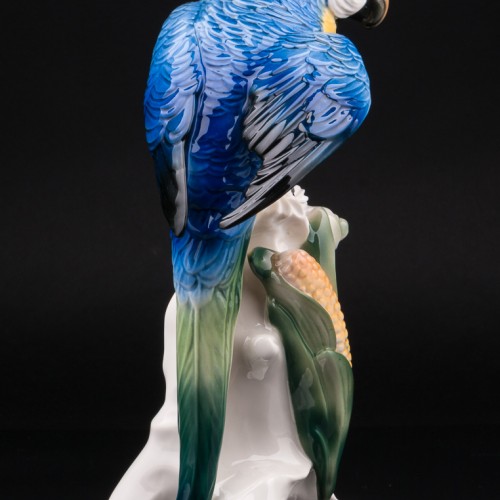 Попугай ара на кукурузе, Karl Ens, Германия