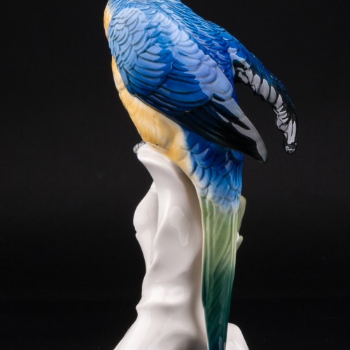 Попугай ара на кукурузе, Karl Ens, Германия