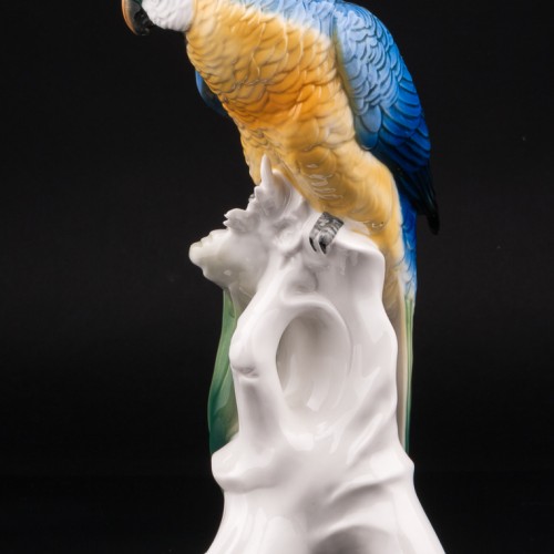 Попугай ара на кукурузе, Karl Ens, Германия