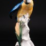 Попугай ара на кукурузе, Karl Ens, Германия