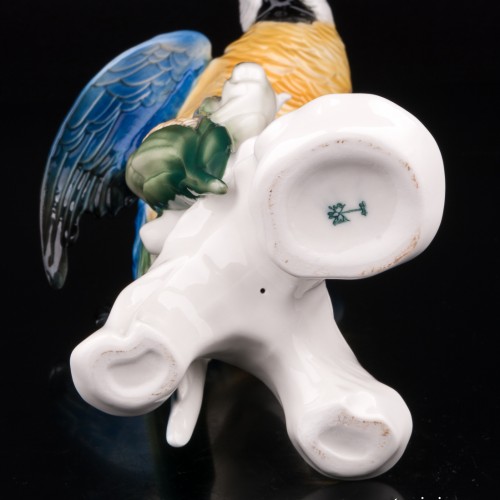 Попугай ара на кукурузе, Karl Ens, Германия