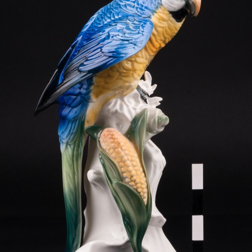 Попугай ара на кукурузе, Karl Ens, Германия