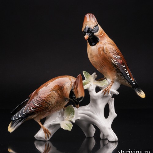 Два свиристеля, Karl Ens, Германия