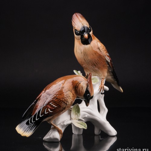 Два свиристеля, Karl Ens, Германия