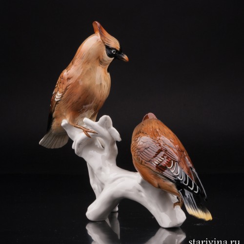 Два свиристеля, Karl Ens, Германия