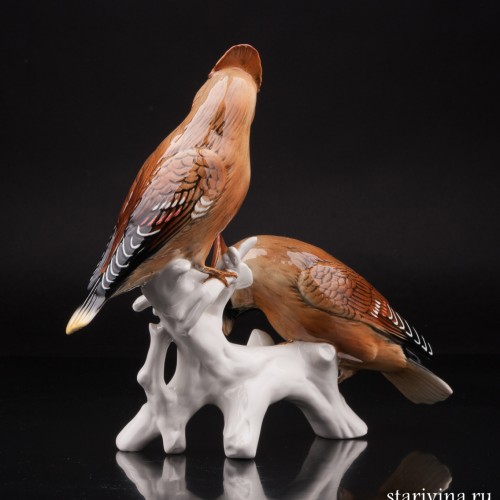 Два свиристеля, Karl Ens, Германия