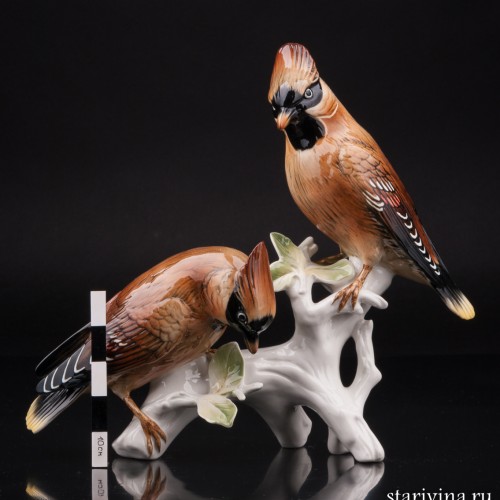 Два свиристеля, Karl Ens, Германия