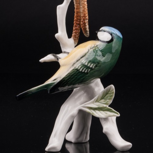 Синица-лазоревка на березе, Karl Ens, Германия