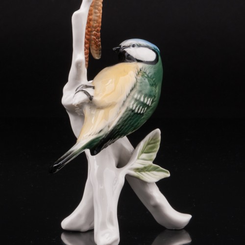 Синица-лазоревка на березе, Karl Ens, Германия