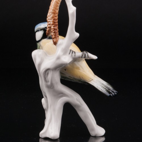 Синица-лазоревка на березе, Karl Ens, Германия