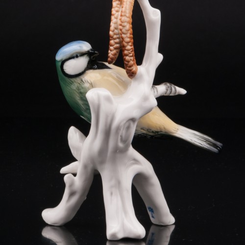 Синица-лазоревка на березе, Karl Ens, Германия