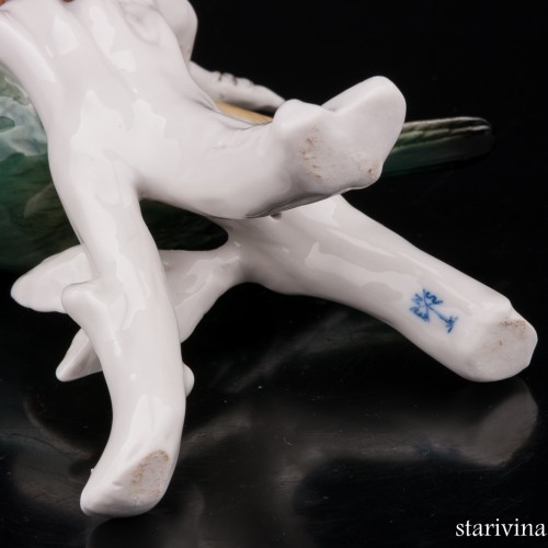 Синица-лазоревка на березе, Karl Ens, Германия