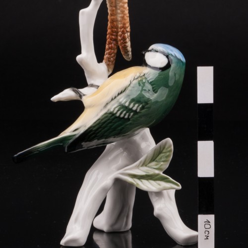 Синица-лазоревка на березе, Karl Ens, Германия