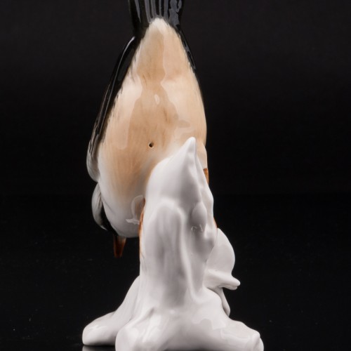 Поползень, Karl Ens, Германия