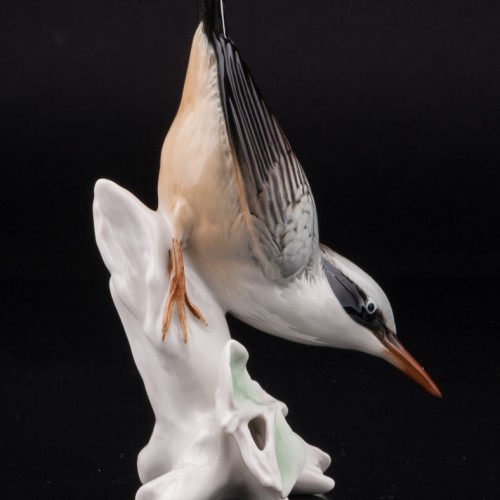 Поползень, Karl Ens, Германия