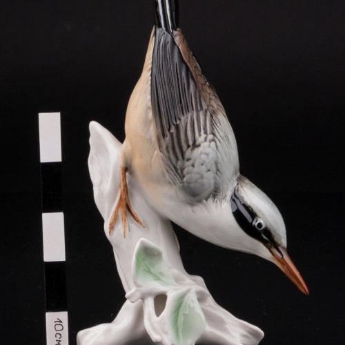 Поползень, Karl Ens, Германия