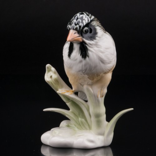 Усатый ткач на бамбуке, Karl Ens, Германия