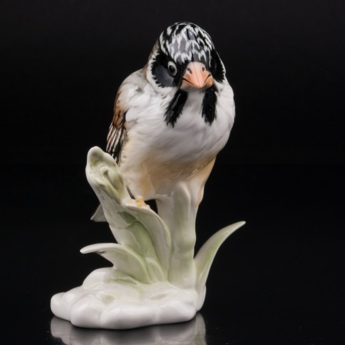 Усатый ткач на бамбуке, Karl Ens, Германия