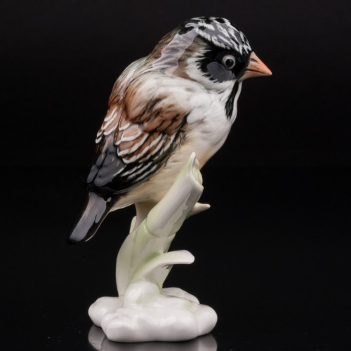 Усатый ткач на бамбуке, Karl Ens, Германия