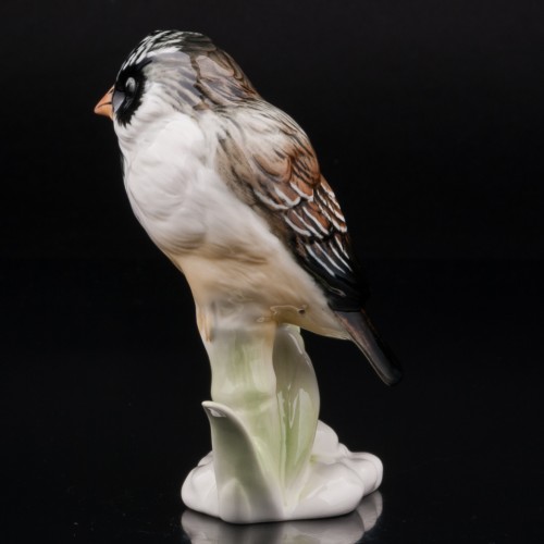 Усатый ткач на бамбуке, Karl Ens, Германия