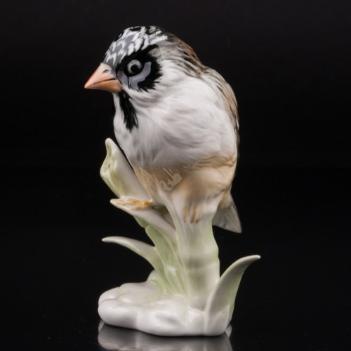 Усатый ткач на бамбуке, Karl Ens, Германия