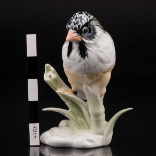 Усатый ткач на бамбуке, Karl Ens, Германия