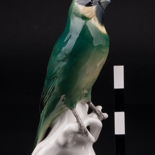 Зеленый кардинал, Karl Ens, Германия