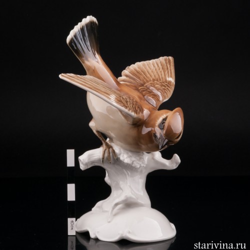 Статуэтка птицы из фарфора Свиристель, Hutschenreuther, Германия, 1955-68 гг.