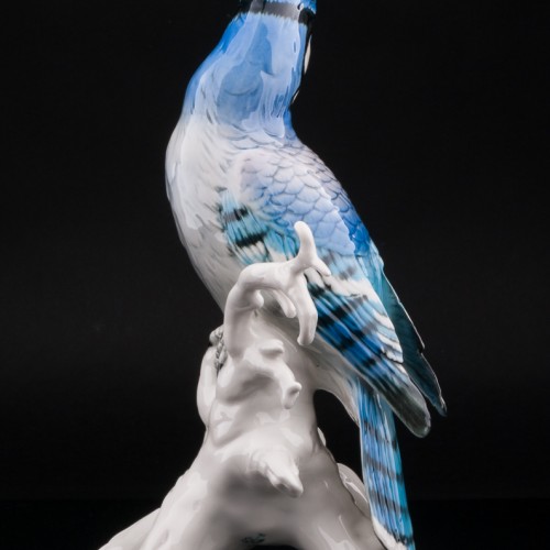 Голубая сойка, Karl Ens, Германия