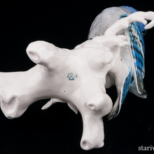 Голубая сойка, Karl Ens, Германия