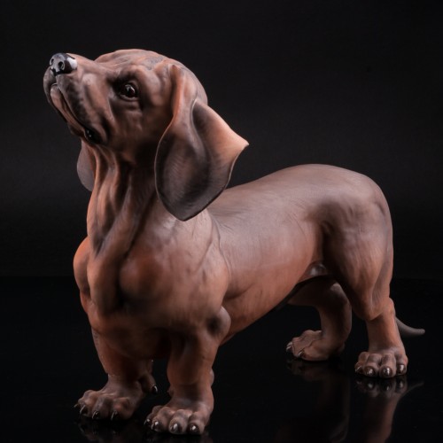 Такса, Италия, 1970 гг