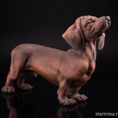 Такса, Италия, 1970 гг