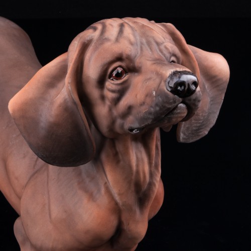 Такса, Италия, 1970 гг