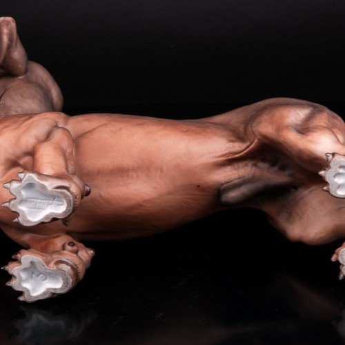 Такса, Италия, 1970 гг