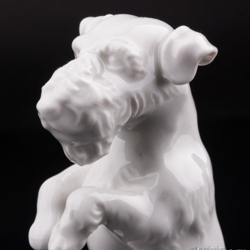 Фокстерьер, Jager & Co, Германия, 1945-49 гг