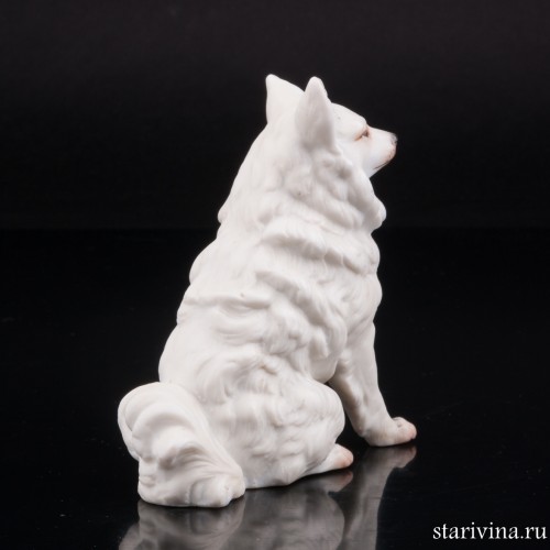 Белый шпиц, Германия, кон. 19 в